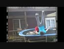 【ハプニング】 Fail Compilation November 2010 【失敗動画】