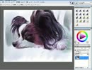 うちのワンコを描いてみた-その壱-【お絵かきメイキング】