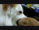 muuちゃん