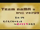 【MHP2G】 Team naMA　本日のお戯れ　その17【実況】