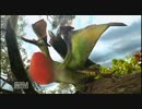 【MHP3実況】初心者?の孤独な狩り日記　２ページ目の１