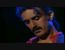 Frank Zappa - Zoot Allures