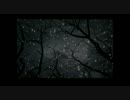 【和音マコオリジナル】宵の冬花