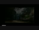 【MHP3】水没林の採取ツアー【採集】
