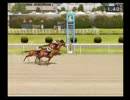 【ダビつく５】競馬界を制圧する旅【実況】（縛りつき）.part7