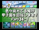 【栄冠ナイン】色々疲れてる俺が甲子園を目指します！Part34-1