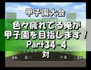 【栄冠ナイン】色々疲れてる俺が甲子園を目指します！Part34-4