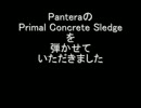 【ペインター】PanteraのPrimal Concrete Sledgeを弾かせていただきました