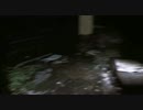 【心霊スポット】静岡県 ベルビュー富○ホテル その2