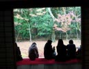 【2010年の京都】地蔵院、浄住寺、高桐院
