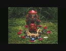 Akron/Family『Raising the sparks』