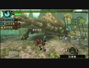 【MHP3実況】初心者?の全裸な狩り日記　６ページ目の１