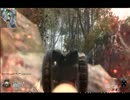 CoD:BO　ハッカープロで頑張ってみた　－下手な鉄砲も数撃ちゃ当たる－