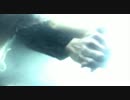 Seabellies 「Trans Ending」