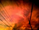 「celluloid」 を歌ってみた【理音】