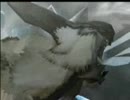 【MHP3】~ぶらり一狩り実況part6~【USA】