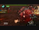 【MHP3実況】初心者?の全裸な狩り日記　９ページ目の２