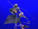 【One Minute Bio】1分動画で楽しむ生き物の世界【3】