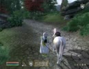 oblivion　のほほん字幕プレイ　137