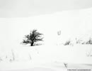 Telepopmusik- Breathe (Extended Mix)