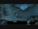 【Starcraft2】三十路が初めてのRTS　其の六【TvsT】