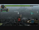 【MHP2G】第二十四回　俺がハンターだっ！！　鎧＋ビーム砲＝？