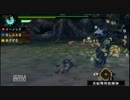 【MHP3実況】初心者?の全裸な狩り日記　１２ページ目の１