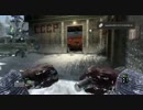CoD:Bo(ア○ム) TDM8　Skorpion