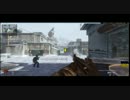 職人がCOD:BOﾏﾙﾁをプレイ