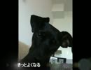 Ebony ～年末いかがお過ごしですか？～