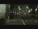 スカート - ハル