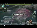 テスト投稿、ある日のモンハンP3rd