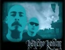 【やっぱ古いのが良い！】Psycho Realm - Street Terrorism