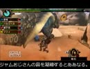 【MHP3rd】楽しめモンハン！【その１】