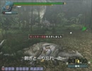 モンスターハンター3rdでの剥ぎ取り事件