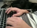 Ebony ～仕事中～
