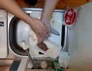 自己流でナマコ酢を作ってみた