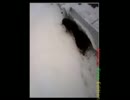 雪の中親とはぐれたうりぼう兄弟をスネークしてみた１