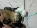 オハナ6ヶ月