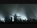 liberation chord