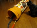 シャカシャカトンネル
