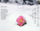 【ニコニコインディーズ/インスト】雪間に咲く花 - 大和令武