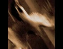 Agalloch - Not Unlike the Waves