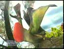 【MHP3】ヘタレギャルの狩り日記　Part7