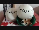 柴犬すもも　ショボーン