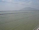 floating_train