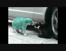 中二病語で喧嘩はやめて