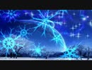 【月の導きに】DFFアドパ対戦245　セイントとは一体･･･