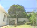 昭和の舞
