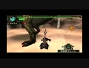 【MHP3】回避ランス？でイビルジョー